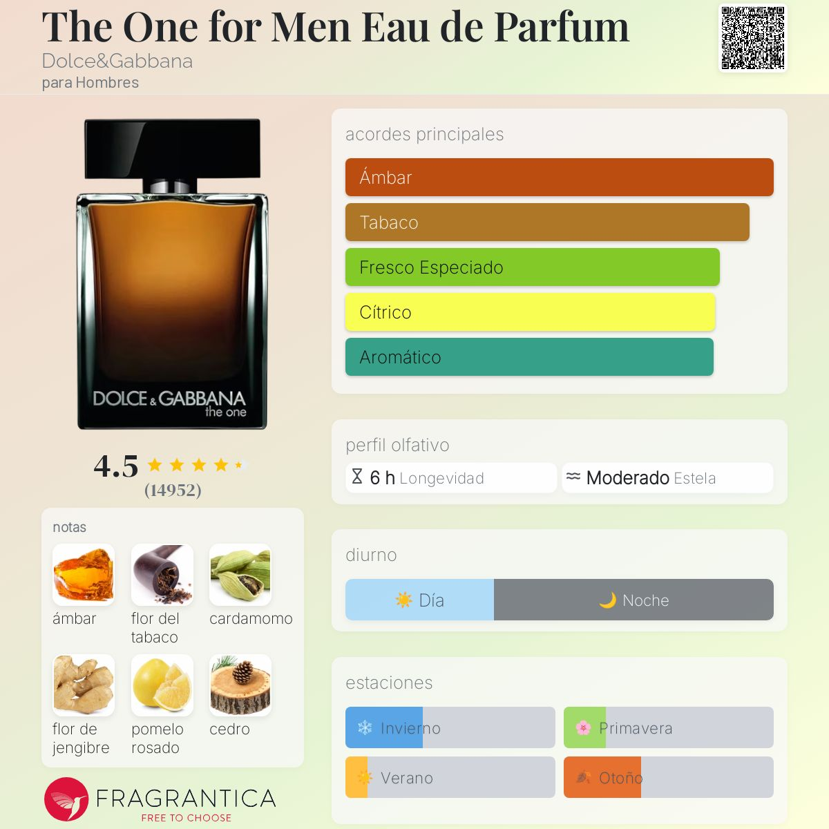 The One Eau de Parfum Decant