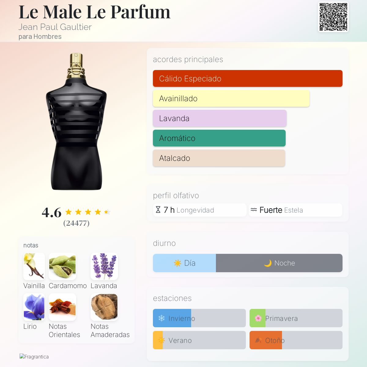 Le Male Le Parfum Decant