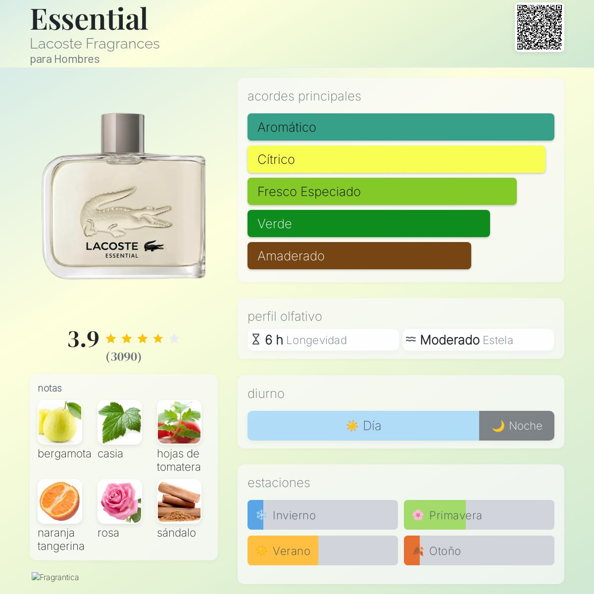 Lacoste Essential